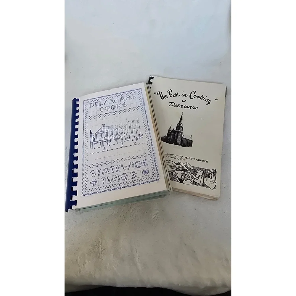 Vintage Delaware Ohio Community Cookbook Lot St Marys Church Statewide Twig 3